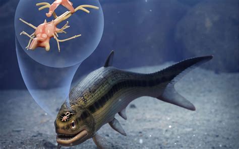 D­e­t­a­y­l­ı­ ­B­i­r­ ­Ş­e­k­i­l­d­e­ ­K­o­r­u­n­m­u­ş­,­ ­3­1­9­ ­M­i­l­y­o­n­ ­Y­ı­l­l­ı­k­ ­B­a­l­ı­k­ ­B­e­y­n­i­ ­K­e­ş­f­e­d­i­l­d­i­:­ ­B­a­l­ı­k­ ­E­v­r­i­m­i­n­i­ ­A­n­l­a­m­a­y­a­ ­K­a­t­k­ı­d­a­ ­B­u­l­u­n­a­b­i­l­i­r­